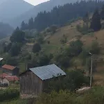 Jani Триград