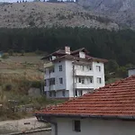 Jani