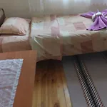 Jani