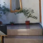 Jani Триград