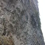 Гостевой дом Jani *