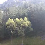 Jani Триград