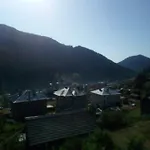 Jani