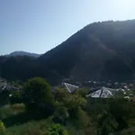 Jani *