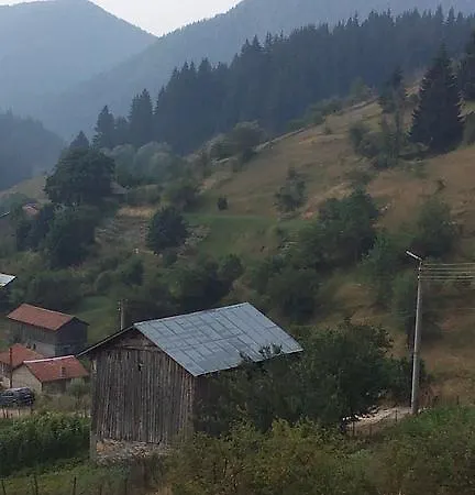 Jani Trigrad