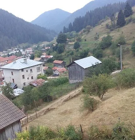 Jani Trigrad