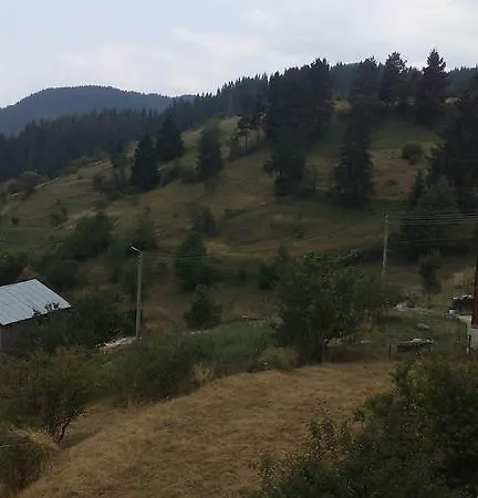 Konukevi Jani *