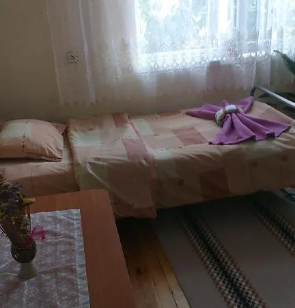 Konukevi Jani *