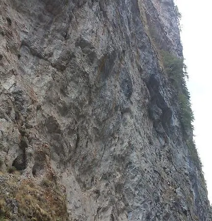 Gæstehus Jani *