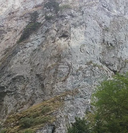 Jani Gæstehus Trigrad