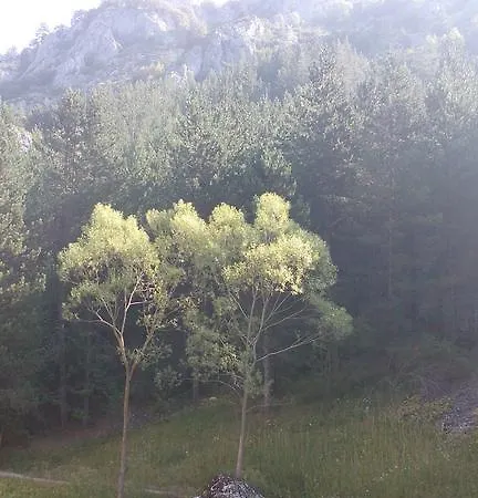 Jani Trigrad