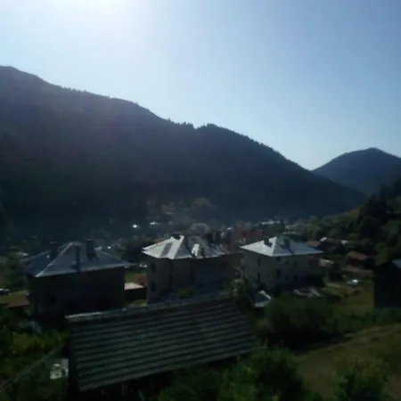 Jani