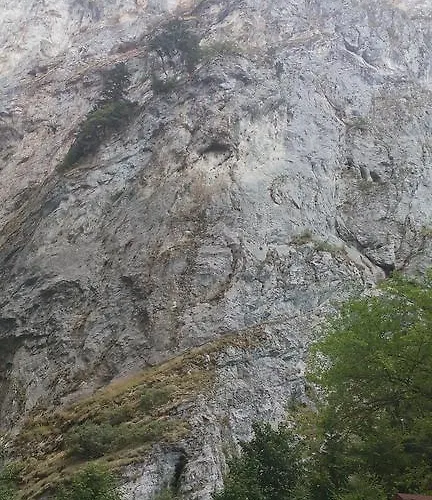 Jani Gasthuis Trigrad